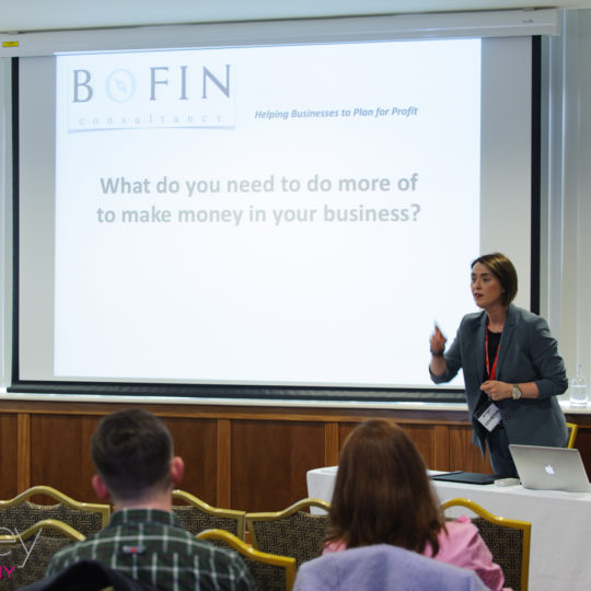 https://www.bizexpo.ie/wp-content/uploads/2018/04/DSC2839-540x540.jpg