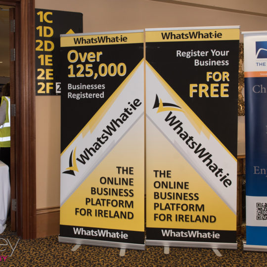 https://www.bizexpo.ie/wp-content/uploads/2018/04/DSC7968-540x540.jpg