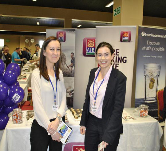 https://www.bizexpo.ie/wp-content/uploads/2019/02/Allied-Irish-Bank-540x492.jpg